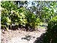55 Francis Road, Macleay Island QLD 4184
