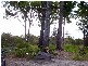 55 Attunga Street, Macleay Island QLD 4184