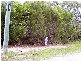 34 Ashton Street, Macleay Island QLD 4184
