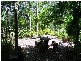 182 Kate Street, Macleay Island QLD 4184