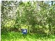 1 Rhodes Street, Macleay Island QLD 4184