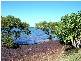 14 Coorong Street, Macleay Island QLD 4184