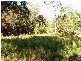 9 Percival street, Macleay Island QLD 4184