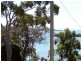 29 Timothy Street, Macleay Island QLD 4184