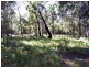 12 Natone Terrace, Macleay Island QLD 4184