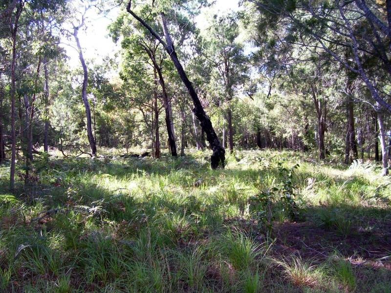 12 Natone Terrace, Macleay Island QLD 4184