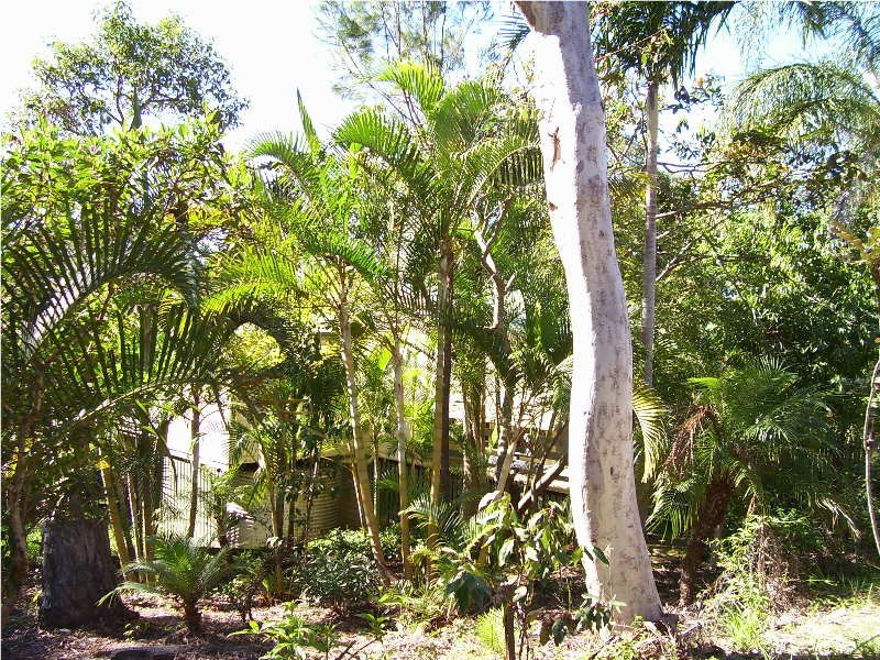 21 Ashton Street, Macleay Island QLD 4184