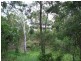 27 Cliff Terrace, Macleay Island QLD 4184