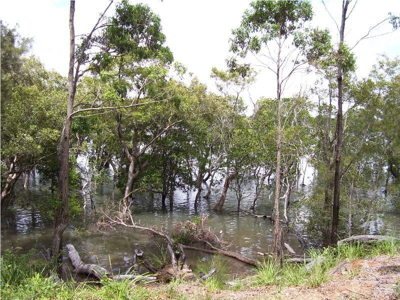 40 calm waters crescent, Macleay Island QLD 4184