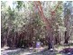 3 Natone Terrace, Macleay Island QLD 4184