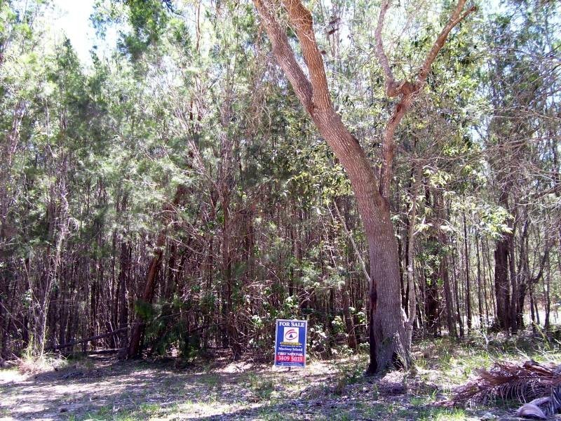 3 Natone Terrace, Macleay Island QLD 4184
