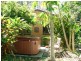 Wooloweyah NSW 2464