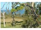 47 Pacific Street, Angourie NSW 2464