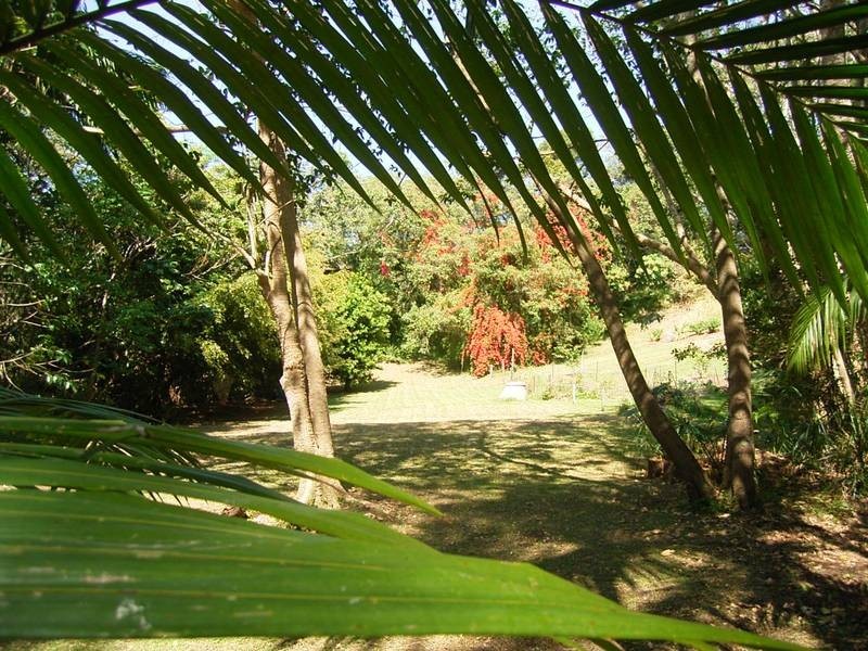 109 Lakes Boulevarde, Wooloweyah NSW 2464