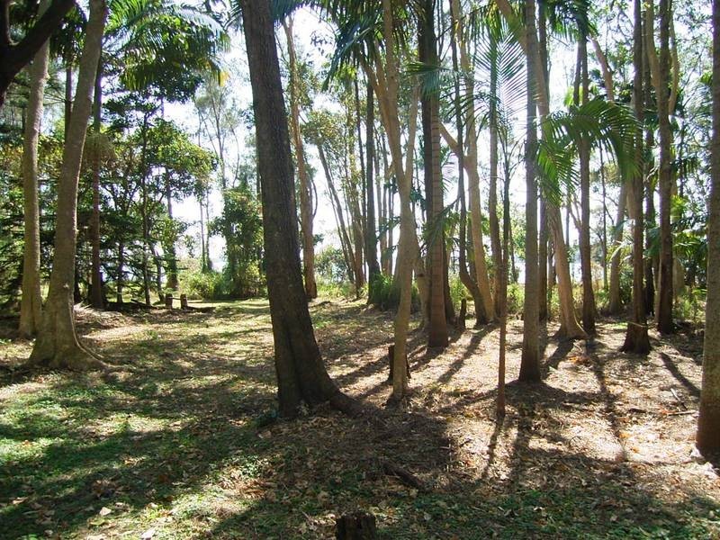 109 Lakes Boulevarde, Wooloweyah NSW 2464