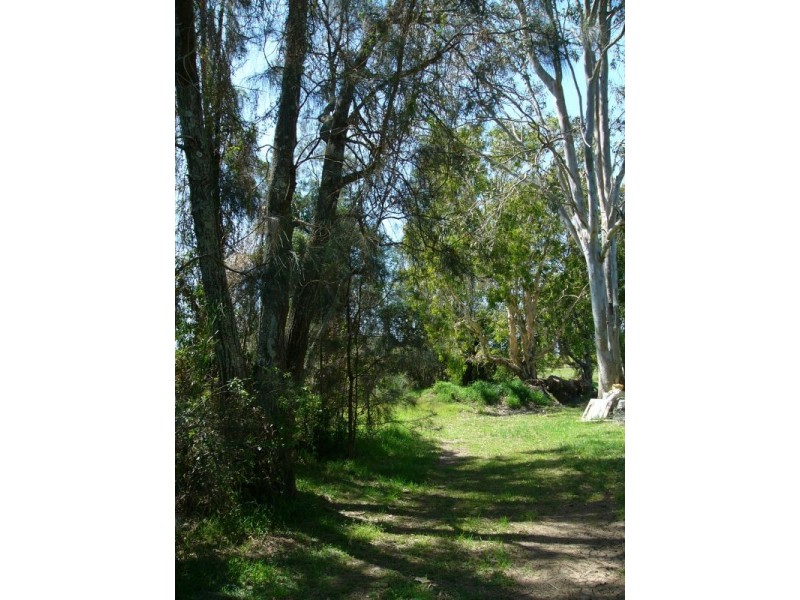 10 Dalley Street, Palmers Island NSW 2463