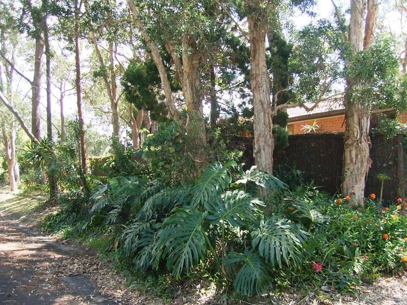 3 Campbell Street, Wooloweyah NSW 2464