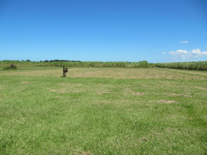 280 Southbank Road, Harwood NSW 2465