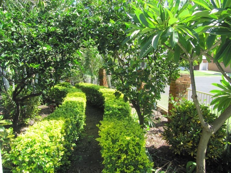 7 Waratah Ave, Yamba NSW 2464