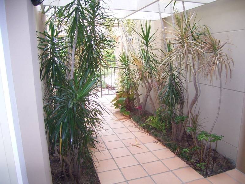 55/20 Pacific Parade, Yamba NSW 2464