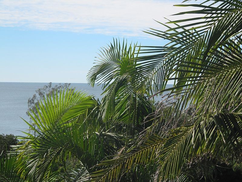 2/27 The Crescent, Angourie NSW 2464