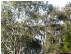121 Lakes Boulevard, Wooloweyah NSW 2464