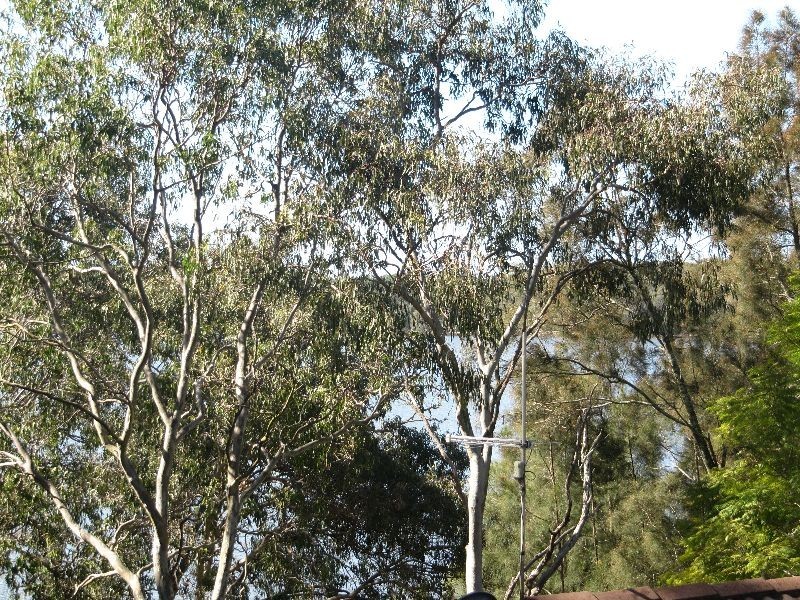 121 Lakes Boulevard, Wooloweyah NSW 2464