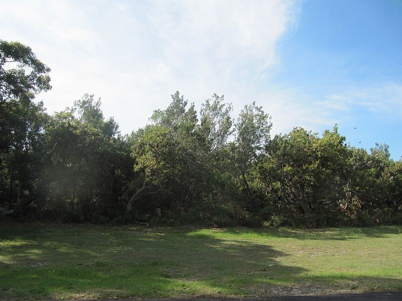 3 Pegus Drive, Wooloweyah NSW 2464