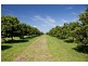 206 South Bank Road, Palmers Channel NSW 2463