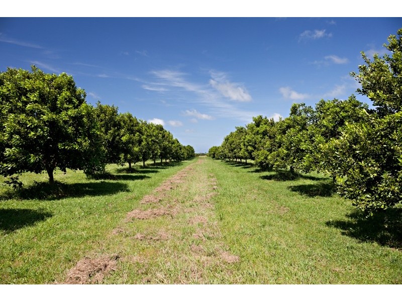 206 South Bank Road, Palmers Channel NSW 2463