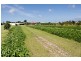 206 South Bank Road, Palmers Channel NSW 2463