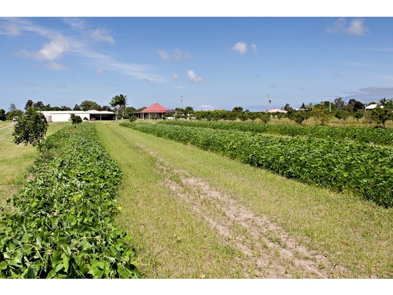 206 South Bank Road, Palmers Channel NSW 2463