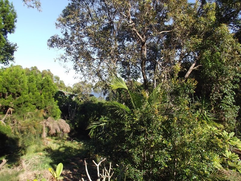 9 Lakes Boulevard, Wooloweyah NSW 2464