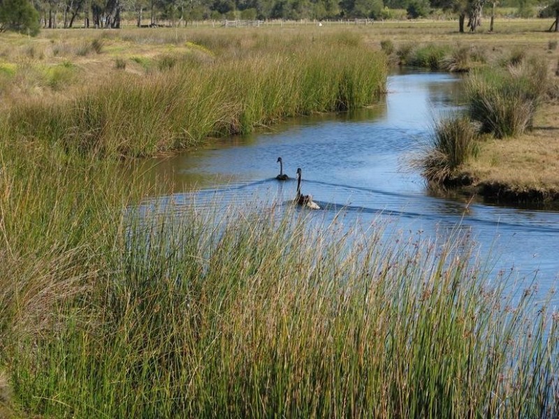 718 North Bank Road, Palmers Island NSW 2463