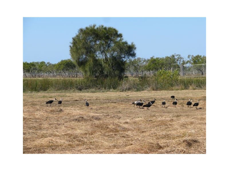 718 North Bank Road, Palmers Island NSW 2463