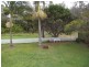 12 Campbell Street, Wooloweyah NSW 2464