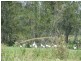 Lot 5 Micalo Road, Micalo Island NSW 2464
