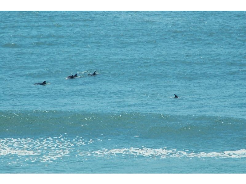 1/7 Ocean Street, Yamba NSW 2464