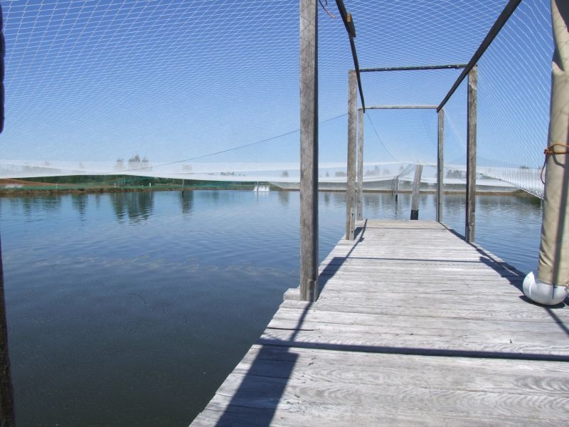 253 School Road, Palmers Island NSW 2463