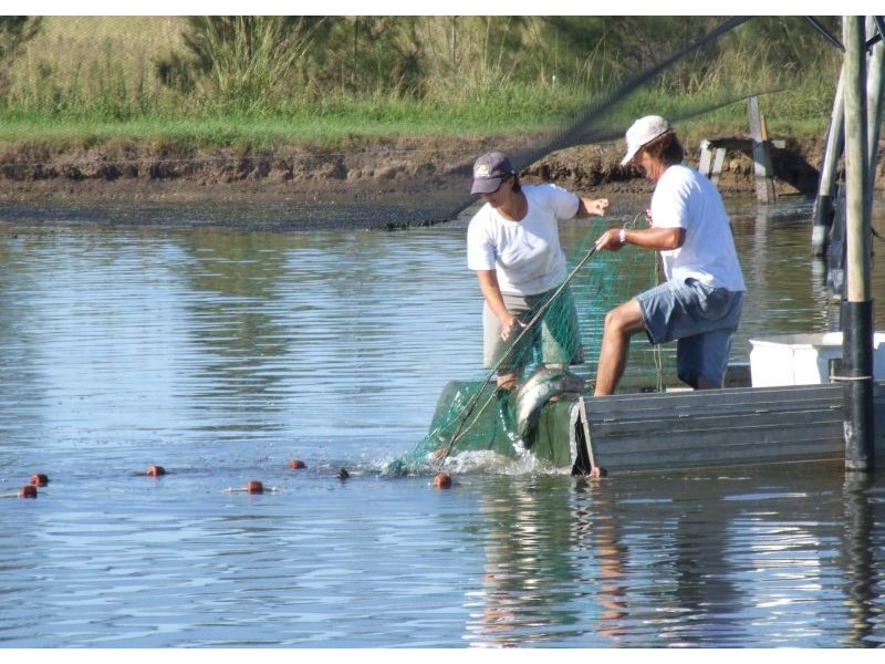 253 School Road, Palmers Island NSW 2463