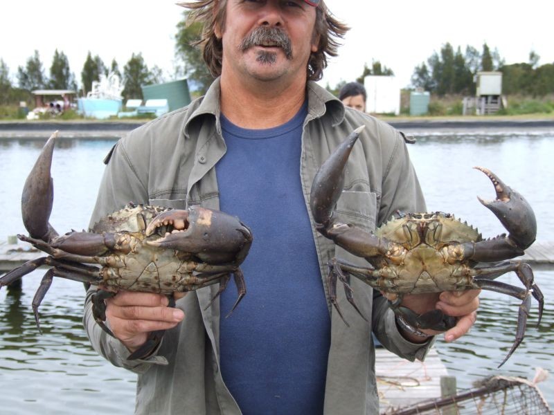 253 School Road, Palmers Island NSW 2463