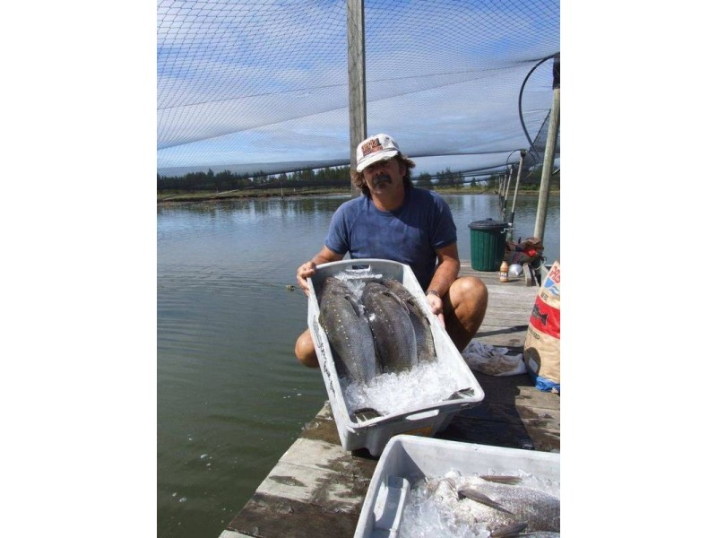 253 School Road, Palmers Island NSW 2463