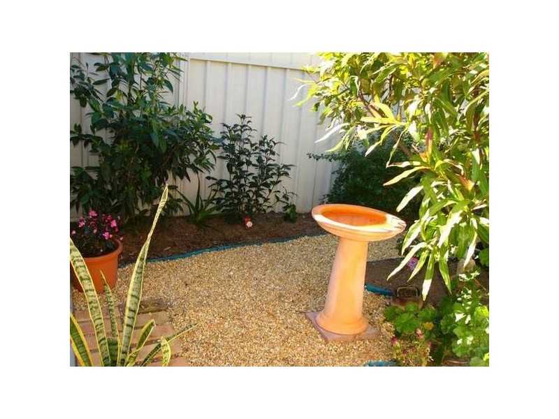 Osprey Drive, Yamba NSW 2464