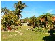 Yamba NSW 2464