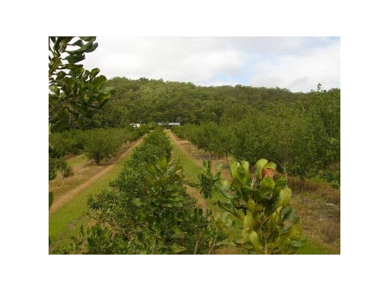 9 Cambridge Park Lane, Woodford NSW 2463