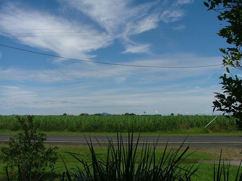 19 Yamba Street, Palmers Island NSW 2463