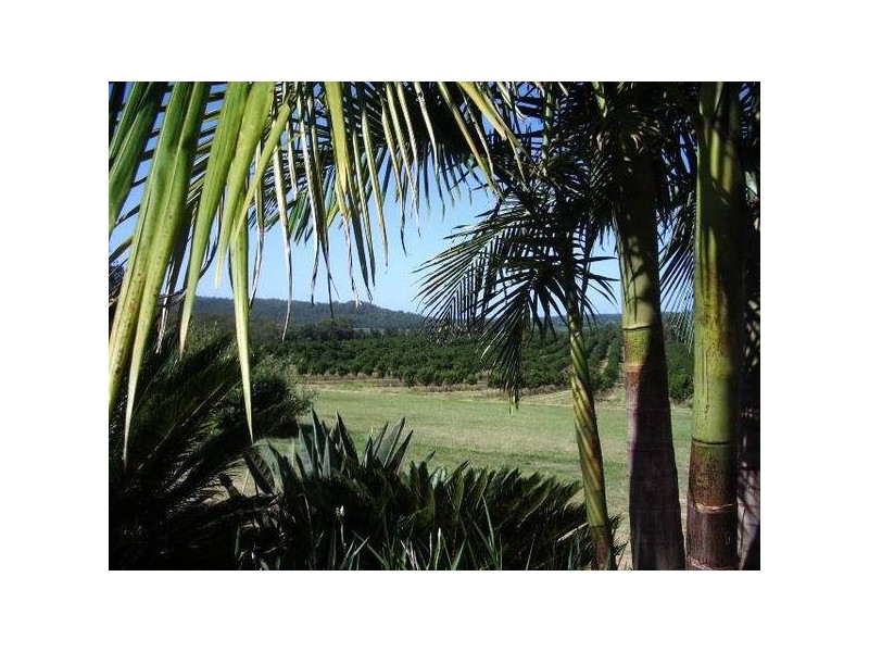 149 Cambridge Park Lane, Yamba NSW 2464