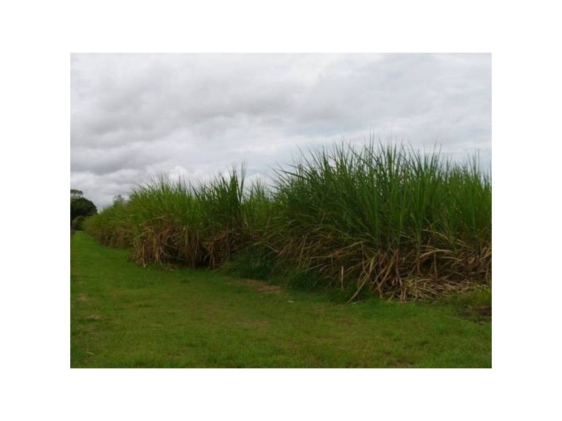 Lot 811 Southbank Road, Harwood NSW 2465