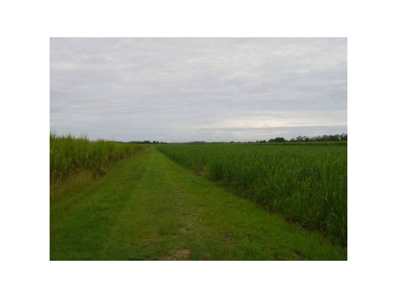 Lot 811 Southbank Road, Harwood NSW 2465