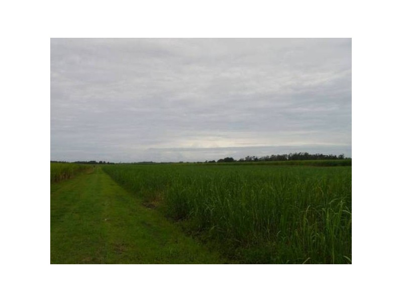 Lot 811 Southbank Road, Harwood NSW 2465